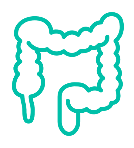 GastroPremium