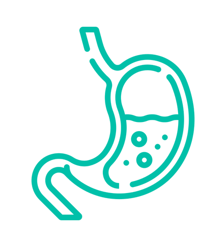 GastroPremium